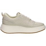 STEVE MADDEN Sneaker Lederimitat/Mesh Sneaker