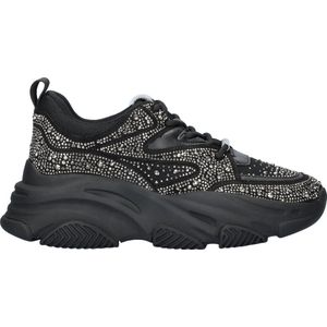 STEVE MADDEN Privy Sneaker (1-tlg)