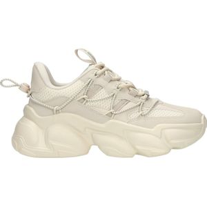 STEVE MADDEN SPECTATOR Sneaker (1-tlg)