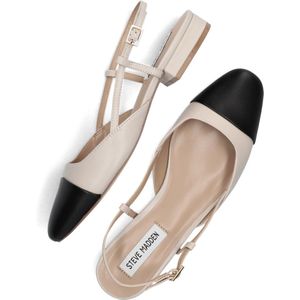 STEVE MADDEN Ballerinas Leder Ballerina