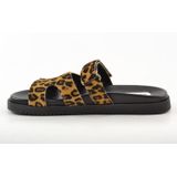 Steve Madden - Missile-L - Sandaal - Bruin - Luipaardprint