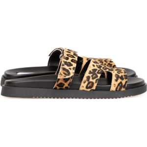 STEVE MADDEN Sandaal - Leopard