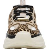 Steve Madden Spectator dames sneaker - Leopard