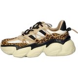 Steve Madden Spectator dames sneaker - Leopard
