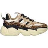 Steve Madden Spectator dames sneaker - Leopard