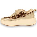Steve Madden - Sneaker - Leopard Print