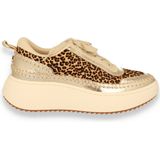 Steve Madden - Sneaker - Leopard Print