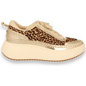 Steve Madden - Sneaker - Leopard Print