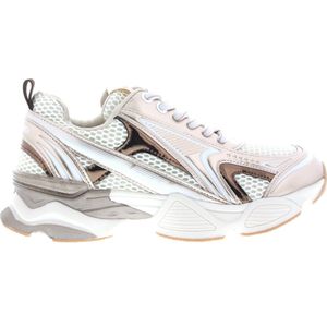 Steve Madden Sneakers - Speedster - Zilver/Goud/Crème