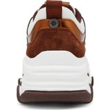 Steve Madden - Progressive - Sneakers - Bronze