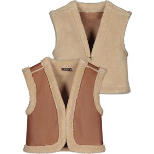 Gilet - Reversible - Faux Leer/Teddy - Zwart