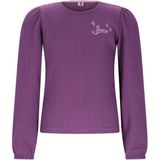 B.Nosy - Blousetop - Paars - Teddy - Lange Mouwen