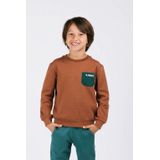 B.Nosy - Y508-6329 - Jongens Trui - Bruin