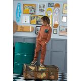 B.Nosy - Peter - Broek - Bruin