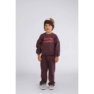 The New Chapter - Straight Casual Broek - Donkerrood