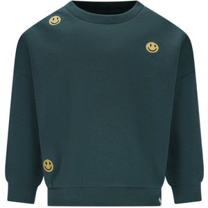 The New Chapter sweater groen