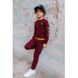 TYGO & vito - X508-6312 - Trui - Donkerrood - Jongens