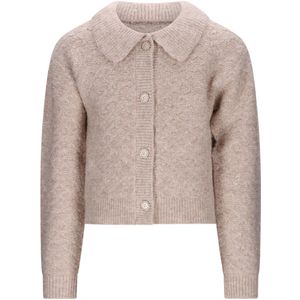 Le Chic - OMSKY - Cardigan - Lichtbruin - Gebreid