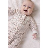 Petite Maison - Sawy - Boxpak - Wit/Bruin