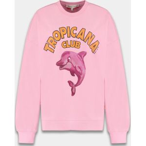 Harper & Yve - Trui - Sweet Pink - Tessa Collectie - Lange Mouwen - Ronde Hals