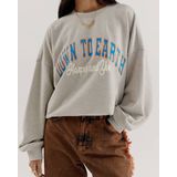 HARPER & YVE - Sweater - Lichtgrijs - 100% Katoen - Regular Pasvorm