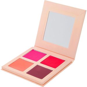 Halo Beauty Blush Palette