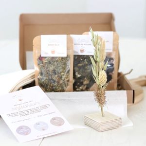 Lottea Giftset Theeproeverij 'Herfstdroom' - thee proeverij pakket, thee cadeau, thee pakket, thee cadeaupakket, thee geschenkset, cadeau vriendschap, cadeau mama, bedankt cadeautje