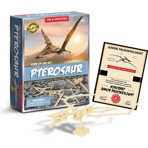 Dig and Discover - Archeologie speelgoed - dig out minerals - opgravingsset - opgraafkit - dig out - opgraafset - dinosaurus speelgoed -D7148