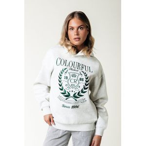 Colourful Rebel - Vintage Embro Hoodie - Dames - Grijs - Katoen