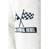 Colourful Rebel Dropped Shoulder Sweat - Regular Fit