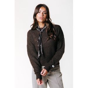Colourful Rebel - Olivia - Sweater - Bruin