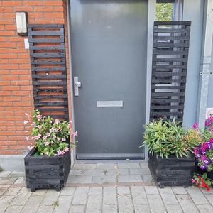 2x Houten plantenbak met klimrek 40x40x40(180) cm - Zwart