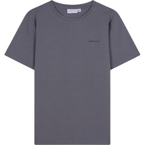 AMBIQUE - T-shirt - Stone Grey 111 - Katoen - Crew Neck