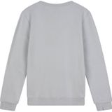 Ambique sweater lichtgrijs