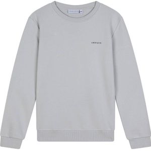 Ambique sweater lichtgrijs