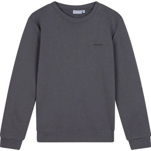 Ambique sweater grijs