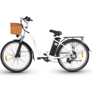 DYU C6 dames e-bike 250 waat motorvermogen topsnelheid 25 km/u Fat tire 26’’ banden 6-versnellingen