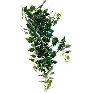 HEM Klimop (Hedera Helix Bont) Kunstplant Volle Hangplant - Kunstplant 100 cm - Levensechte Kunstplant - Modelerende stevige hangstreng