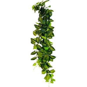 HEM Drakenklimop (Syngonium) Kunstplant Volle Hangplant - Kunstplant 100 cm - Levensechte Kunstplant - Modulerende stevige hangstreng