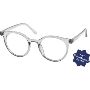 Leesbril Vista Bonita Classic Met Blauwlicht Filter-Kadushi Silver-+1.00