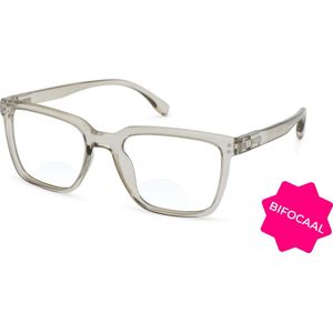 Leesbril Vista Bonita Cubo XL Bifocaal-Kadushi Silver-+1.50
