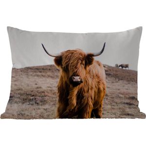 Buitenkussens - Schotse hooglander - Landschap - Koe - Bruin - Dieren - Natuur - 60x40 cm - Weerbestendig
