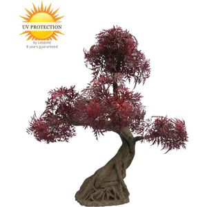 Buiten kunstbonsai ming aralia burgundy met geteste UV-garantie