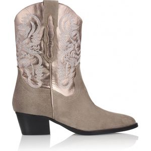 DWRS BRADY Taupe Smoke - Dames Boots - 261280
