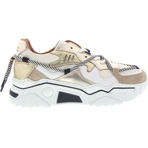 Dames Sneakers Dwrs Jupiter White Champagne Wit - Maat 39