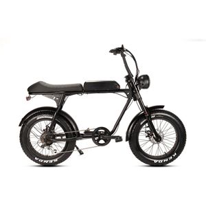 Avon A73 Elektrische Fatbike - 250w Vermogen Gratis Rijklaar Bezorgd