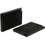 Electrolux - Koolstoffilter - 2 Stuks - Geschikt voor MCFE16 / EFF55