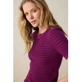Sissy-Boy - Gebreide Trui - Donkerpaars - Met Knopen