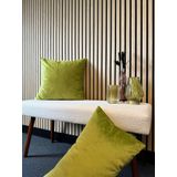 Sierkussen Velvet Mosgroen Longs-s30 x 50 cms-sVelvet/Polyester