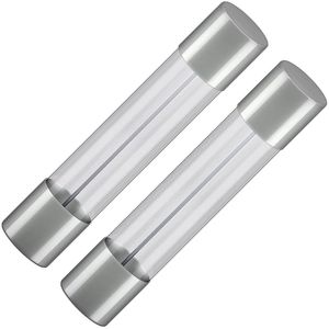Glaszekeringen 6.3x32mm F(snel) - 10A - Beschermt tegen kortsluiting - 2 stuks